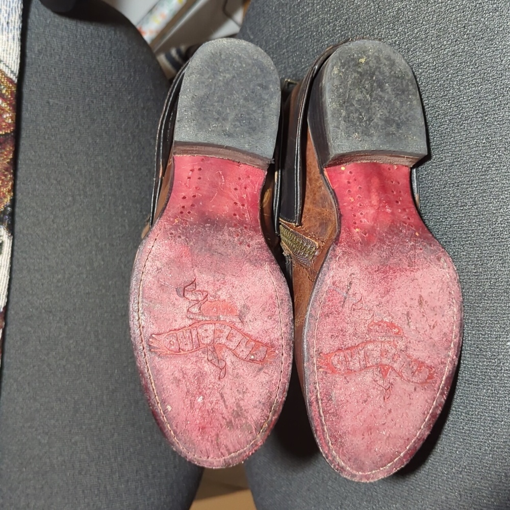 Freebird Ravi - Picture 4 of 6